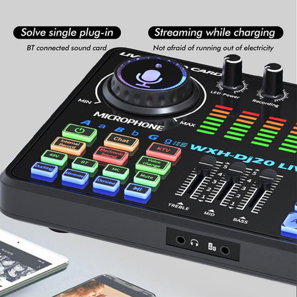 Professional Dj20 Live Sound Card for BM800 Microphone, Podcast, Recording, and Live Streaming - Your Perfect Choice for Recording, Broadcasting, and Live Streaming